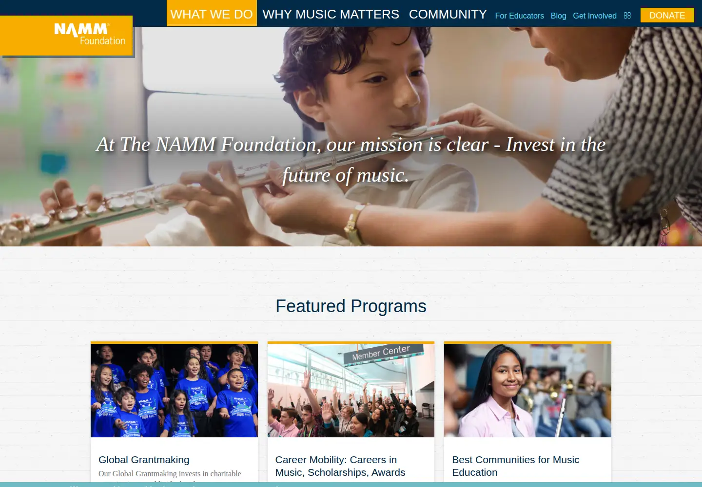 Screenshot of nammfoundation.org