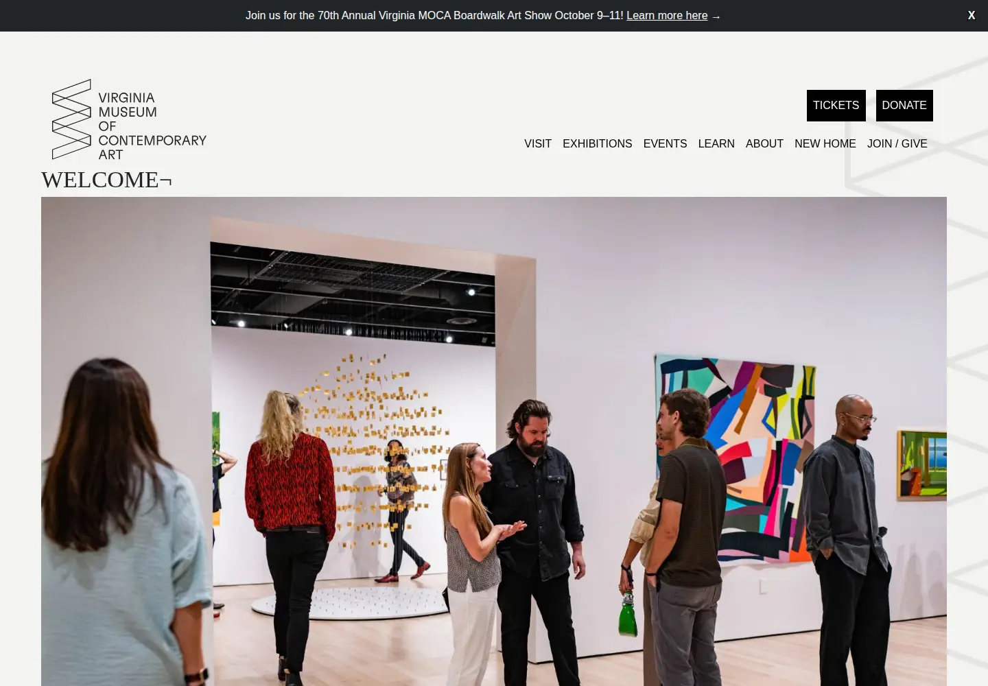 Screenshot of virginiamoca.org