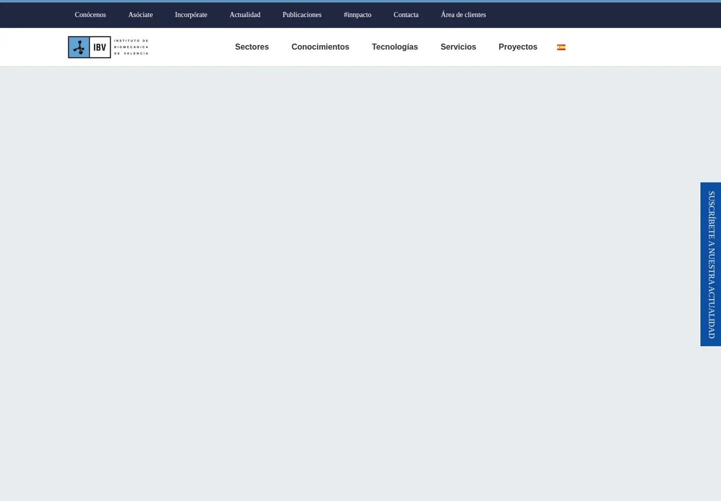 Screenshot of ibv.org