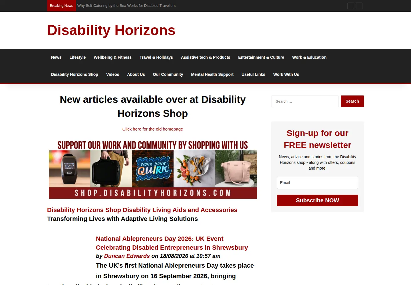 Screenshot of disabilityhorizons.com