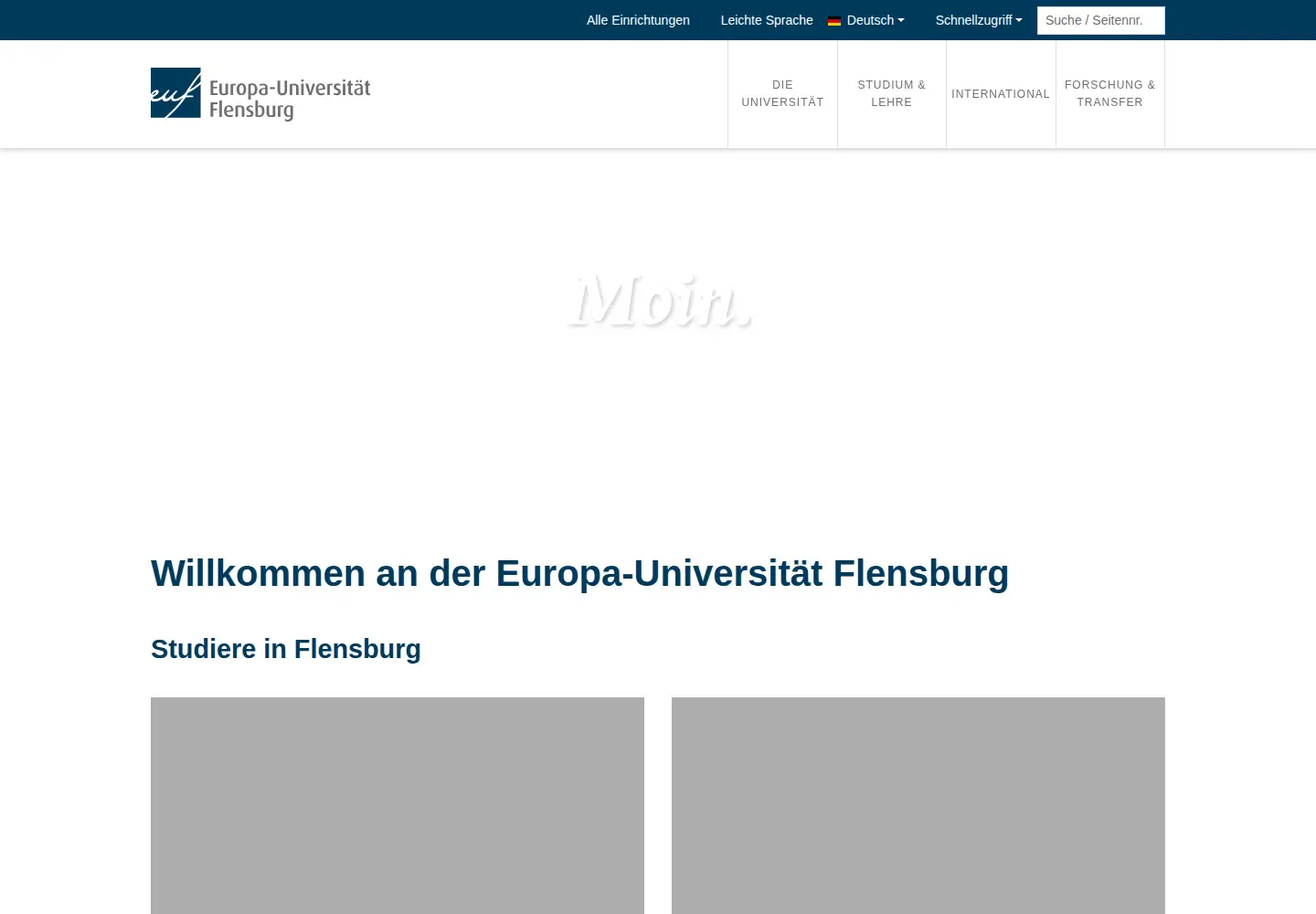 Screenshot of uni-flensburg.de