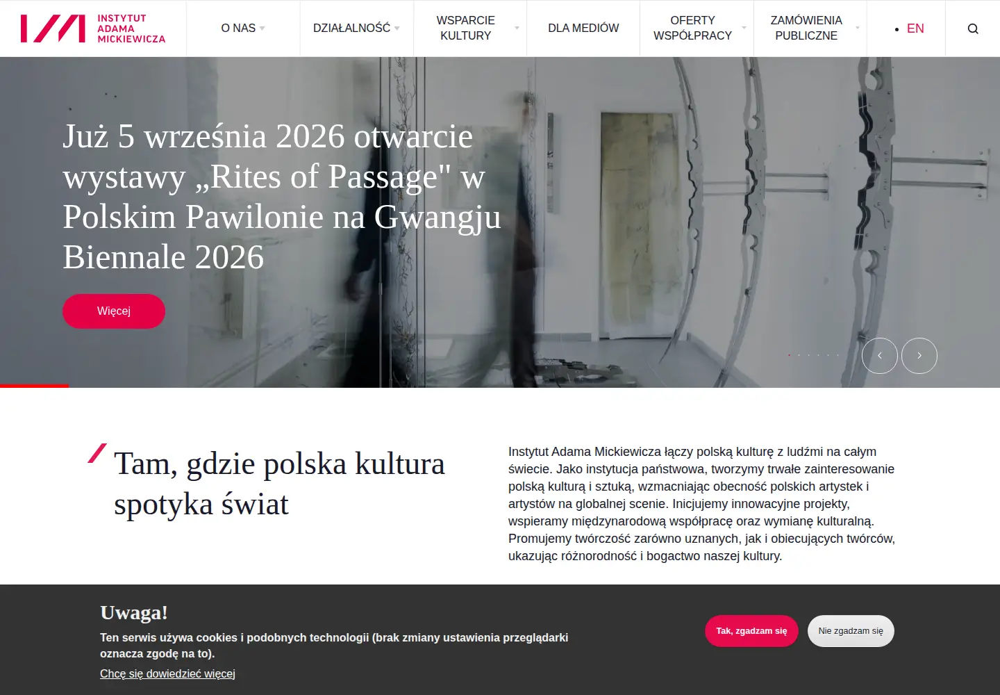Captured homepage of iam.pl in the current scan
