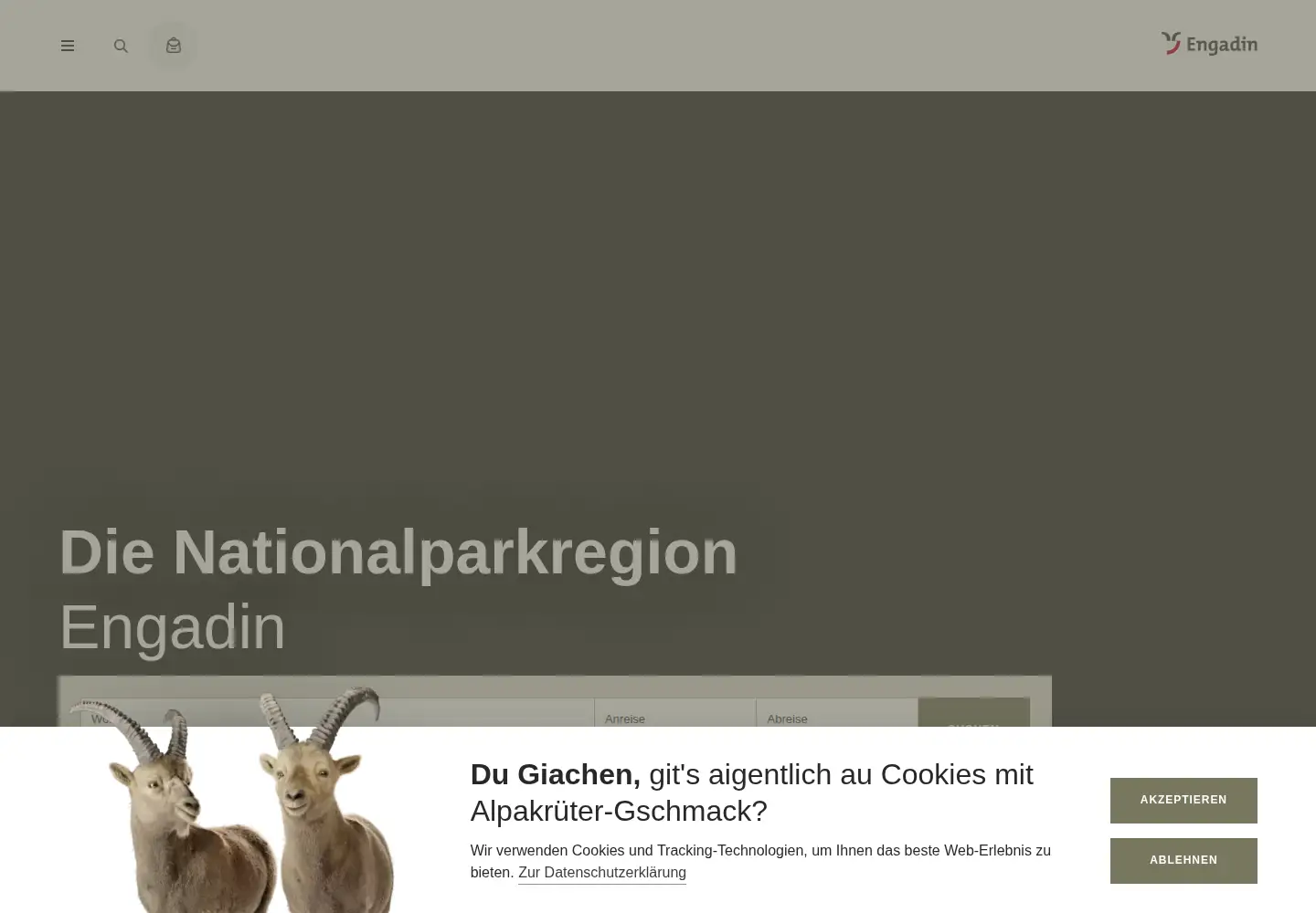 Screenshot of engadin.com