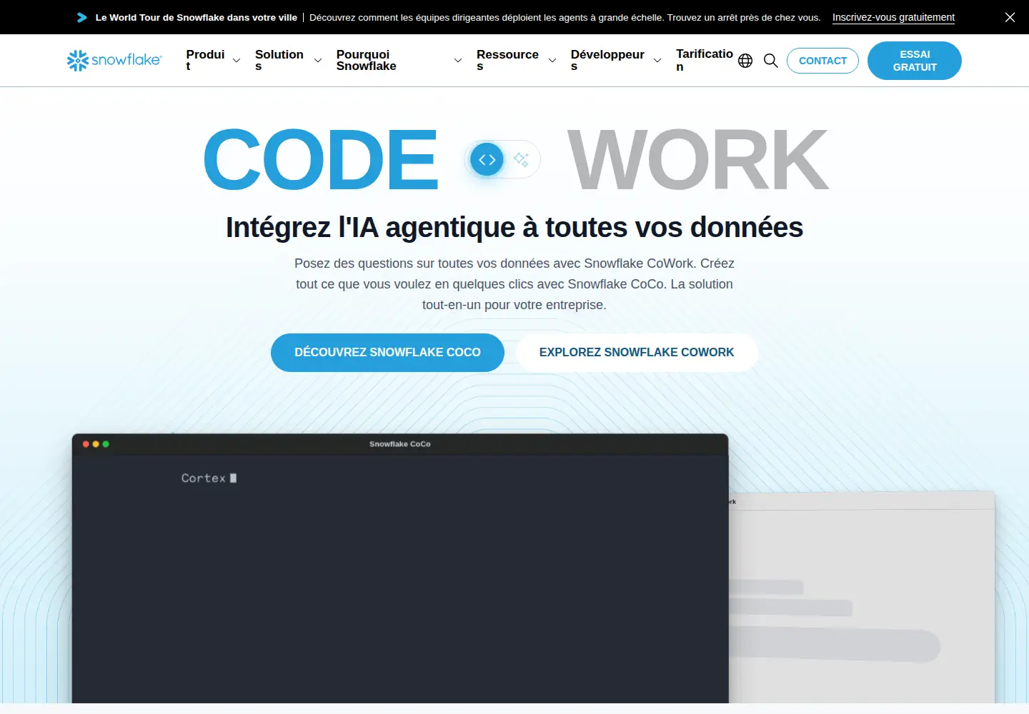 Screenshot of snowflake.com