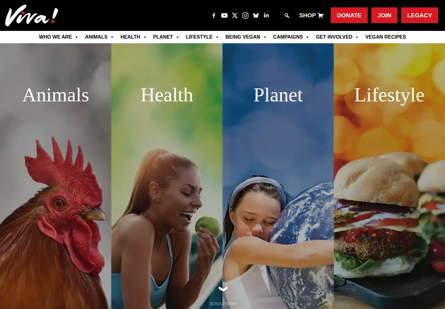 Screenshot of viva.org.uk