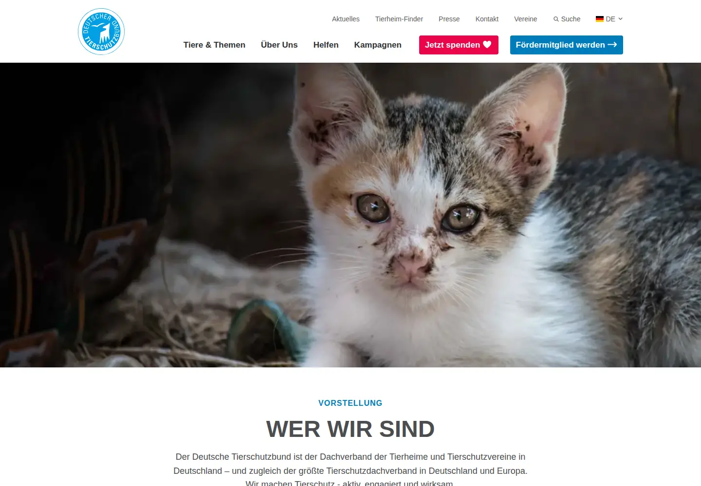 Screenshot of tierschutzbund.de