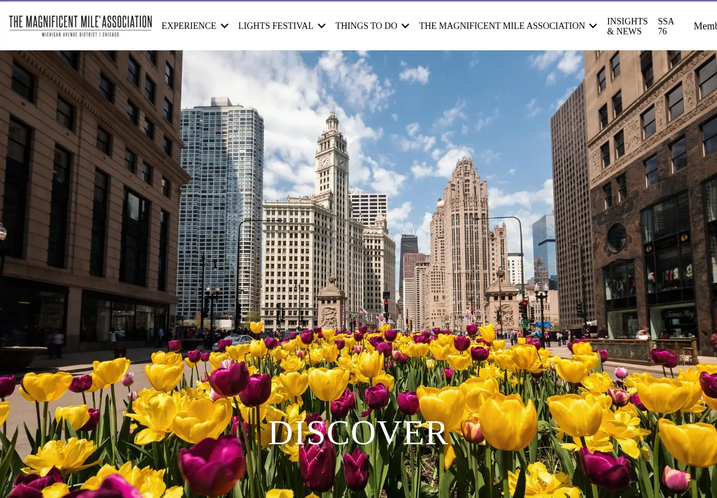 Screenshot of themagnificentmile.com