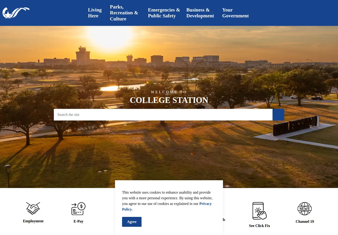 Screenshot of cstx.gov
