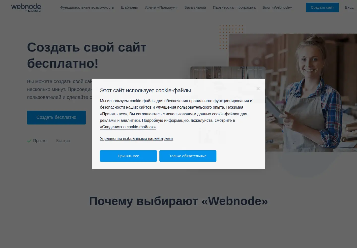 Screenshot of webnode.ru