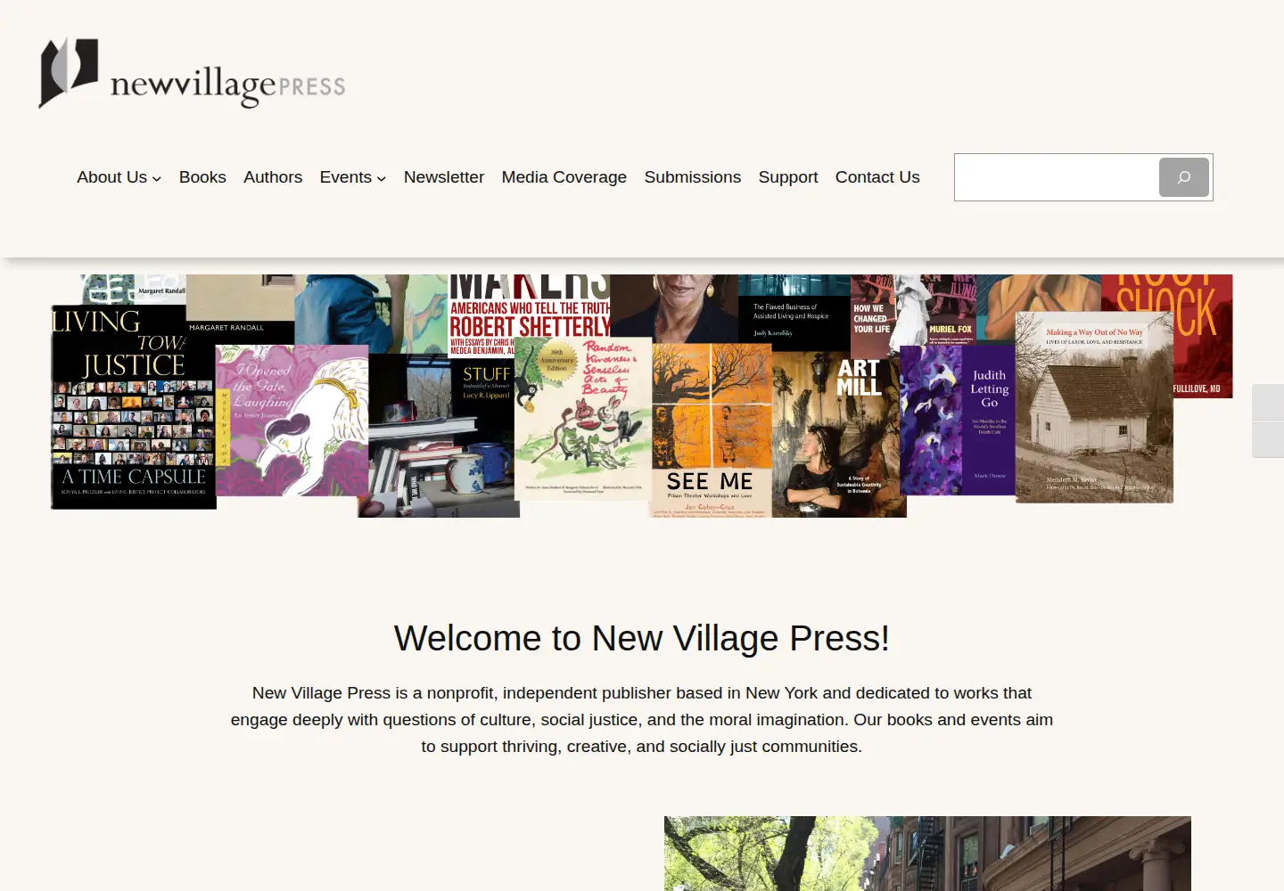 Screenshot of newvillagepress.net