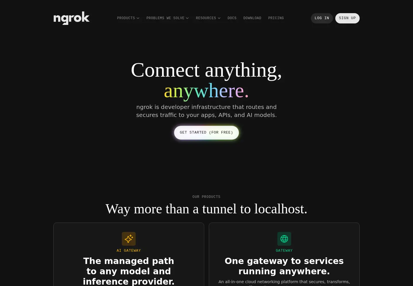 Screenshot of ngrok.com