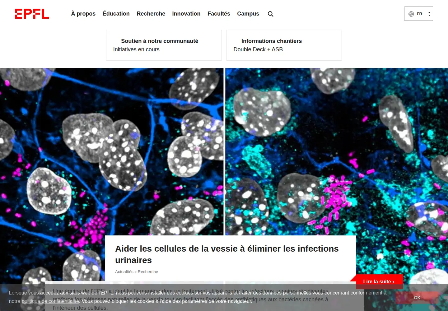 Screenshot of epfl.ch