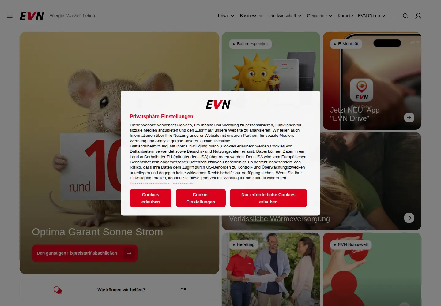 Screenshot of evn.at