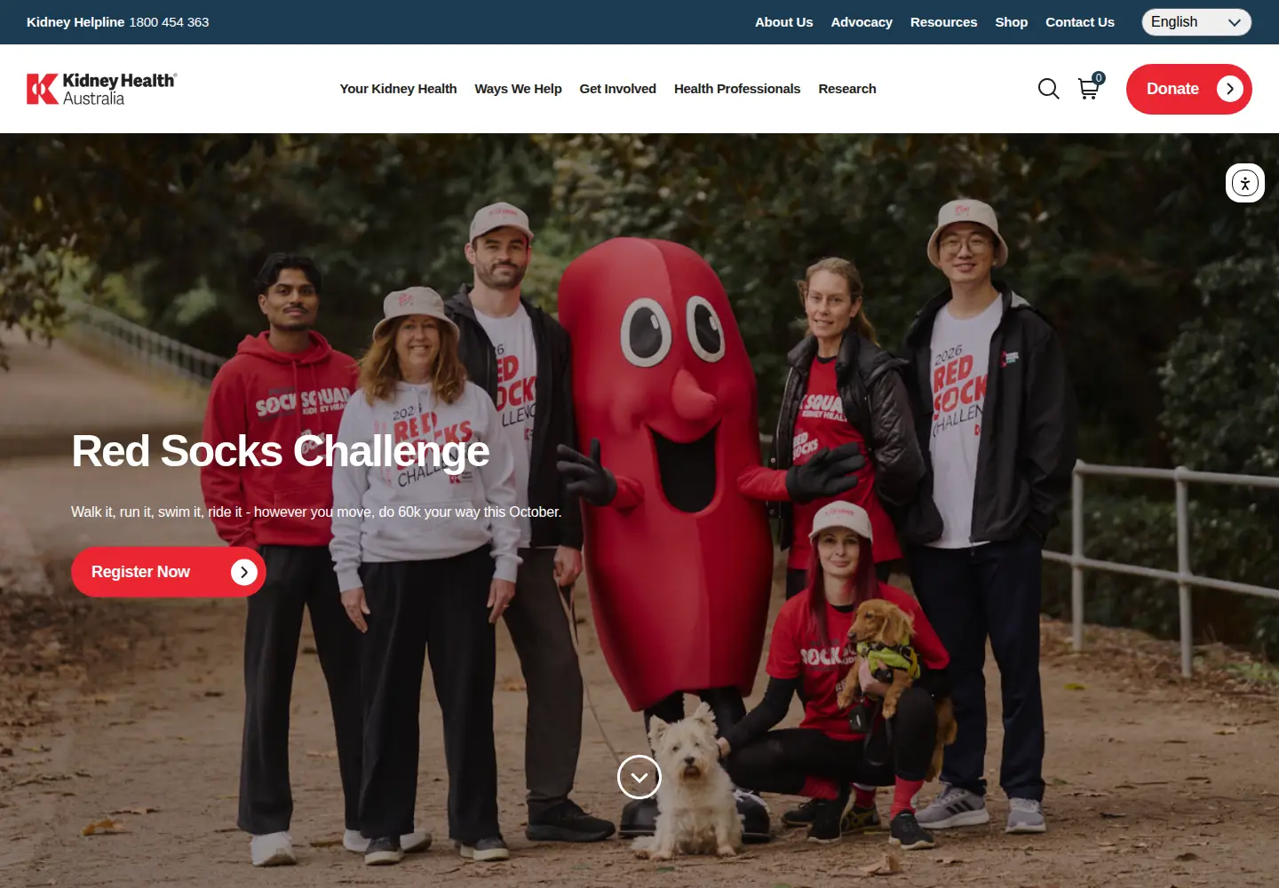 Screenshot of kidney.org.au