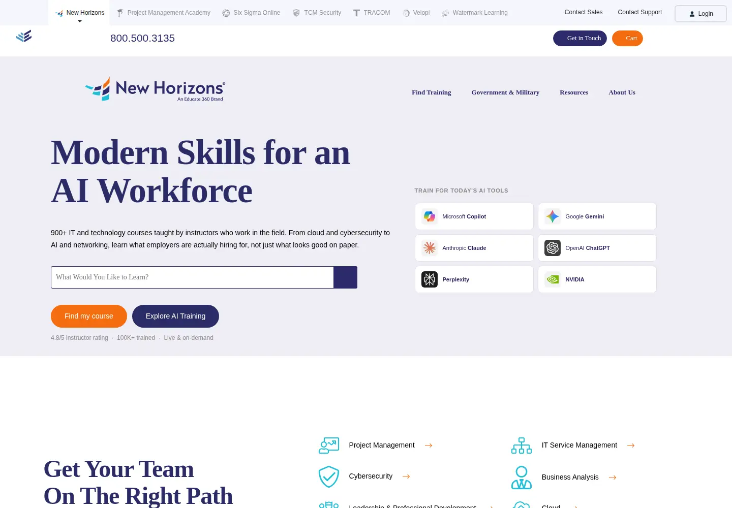 Screenshot of newhorizons.com