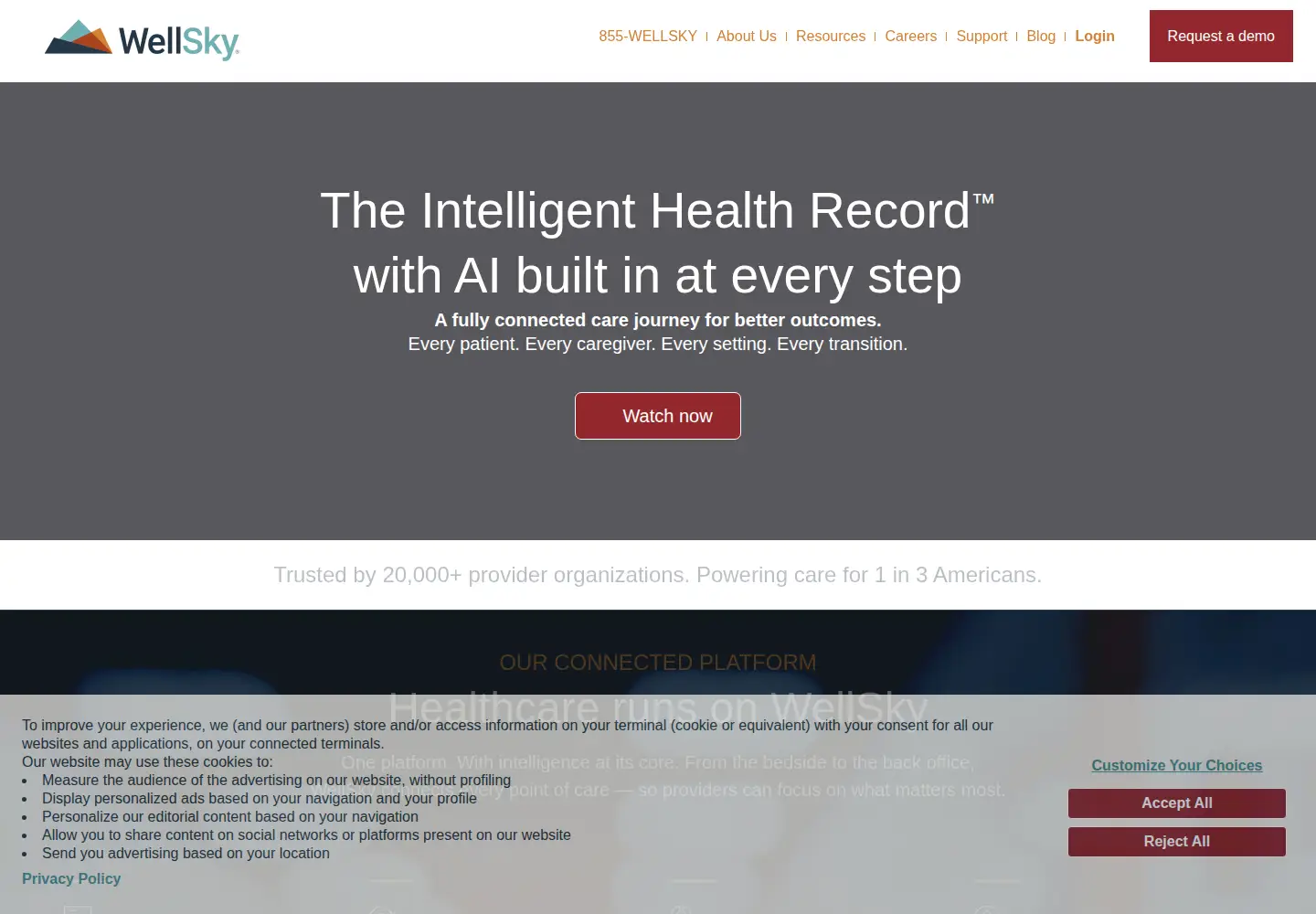 Captured homepage of wellsky.com in the current scan