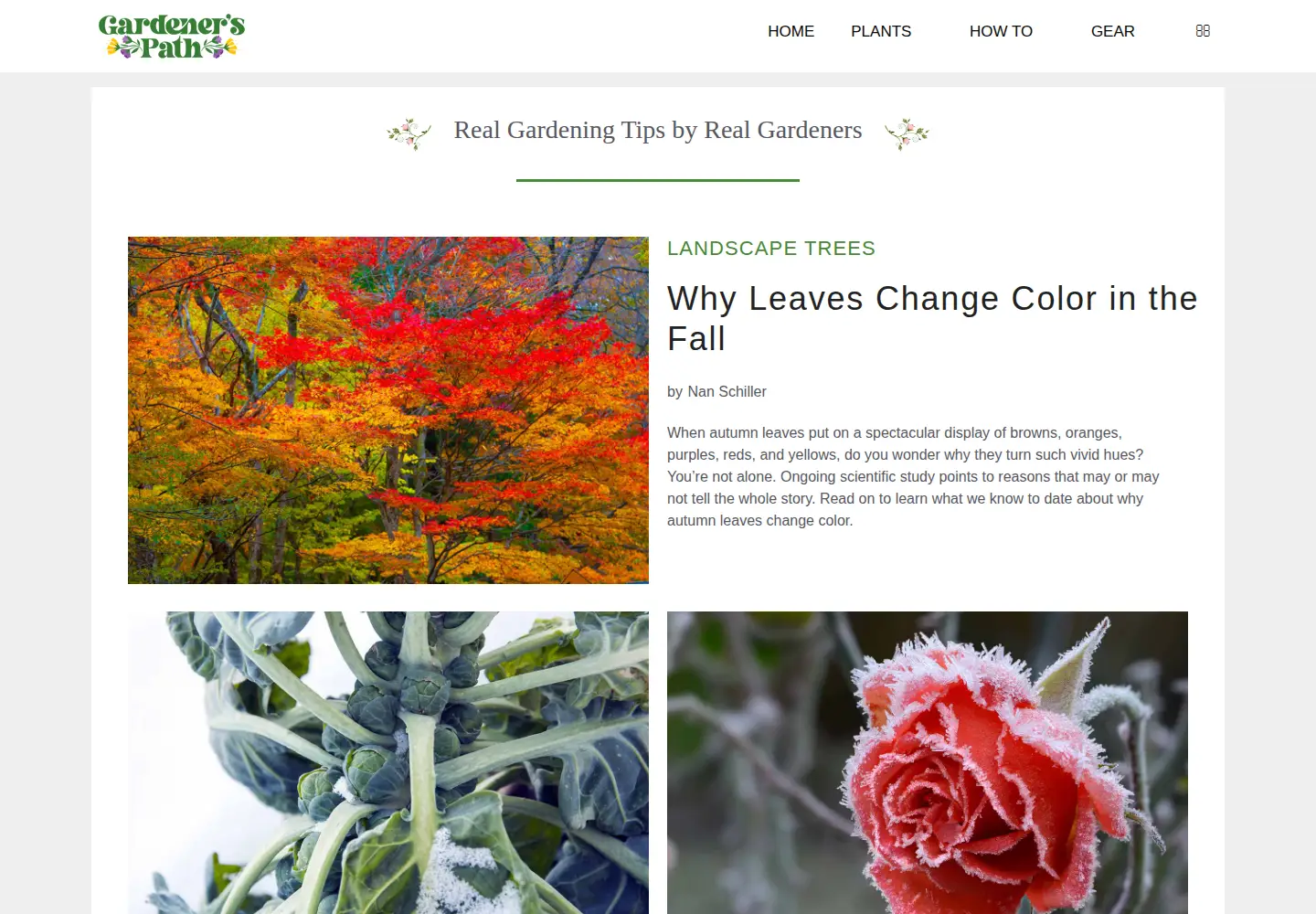 Screenshot of gardenerspath.com