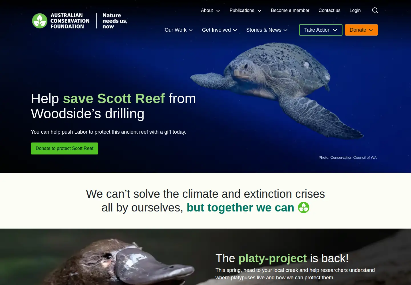 Screenshot of acfonline.org.au