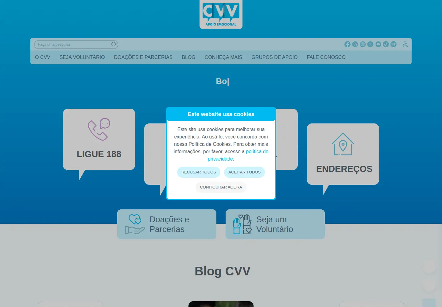 Screenshot of cvv.org.br