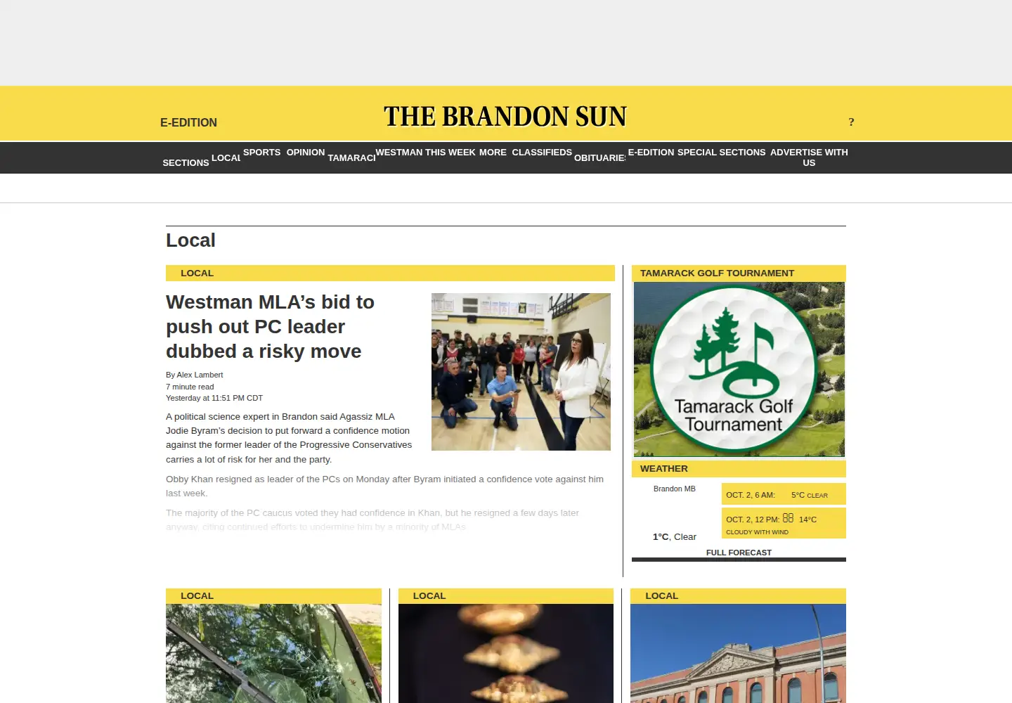 Screenshot of brandonsun.com