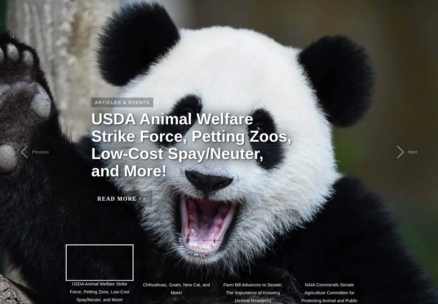 Screenshot of naiaonline.org