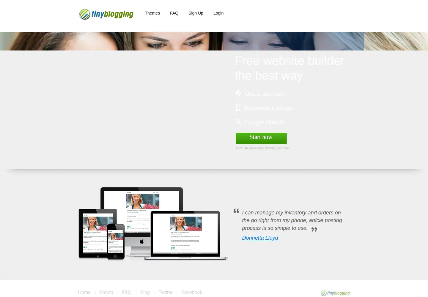 Captured homepage of tinyblogging.com in the current scan