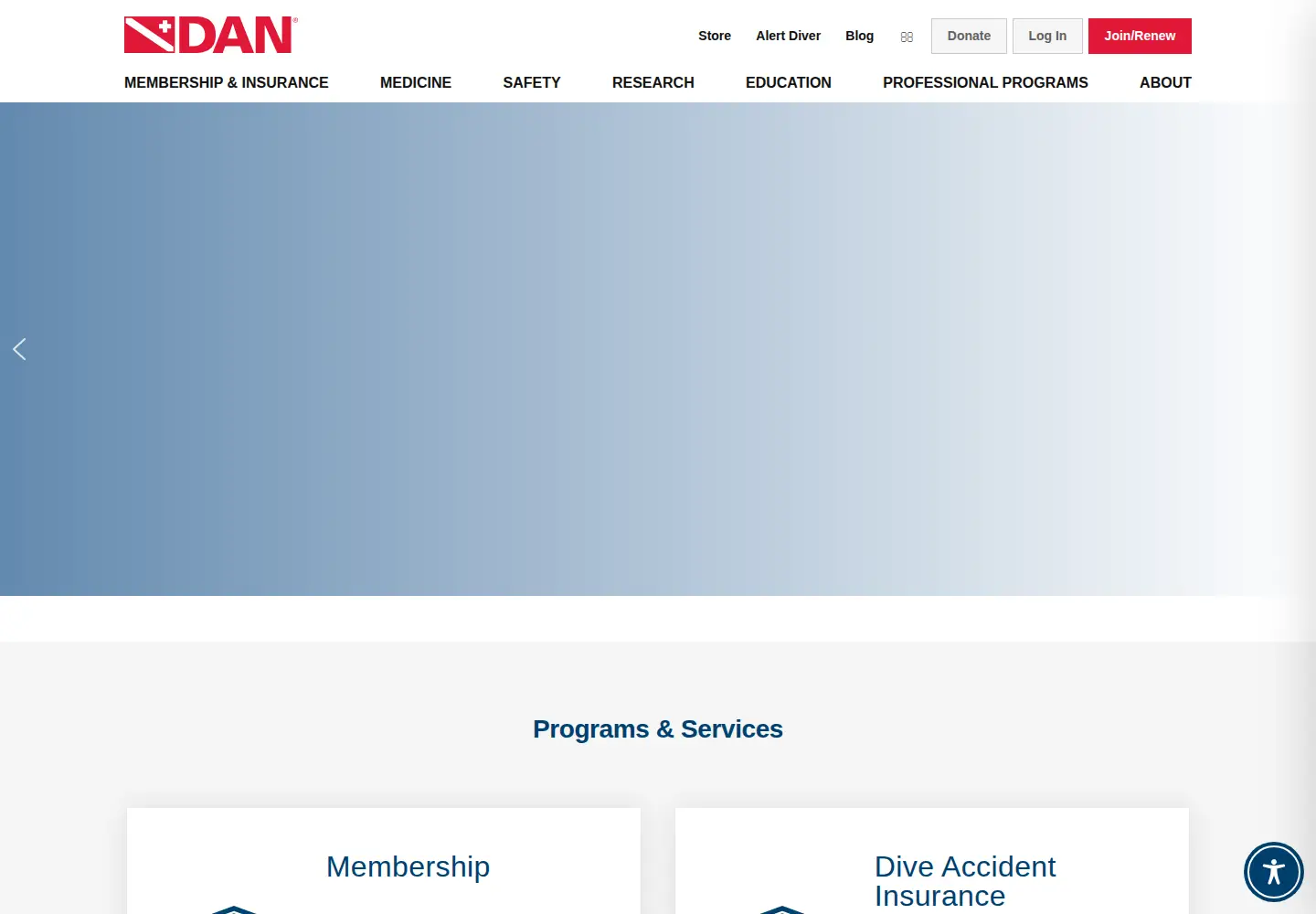 Screenshot of dan.org