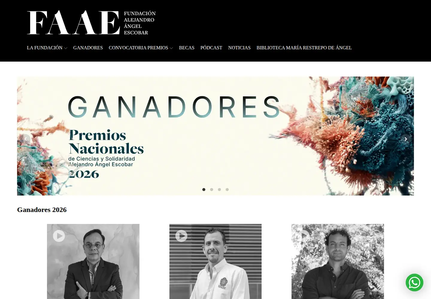 Screenshot of faae.org.co