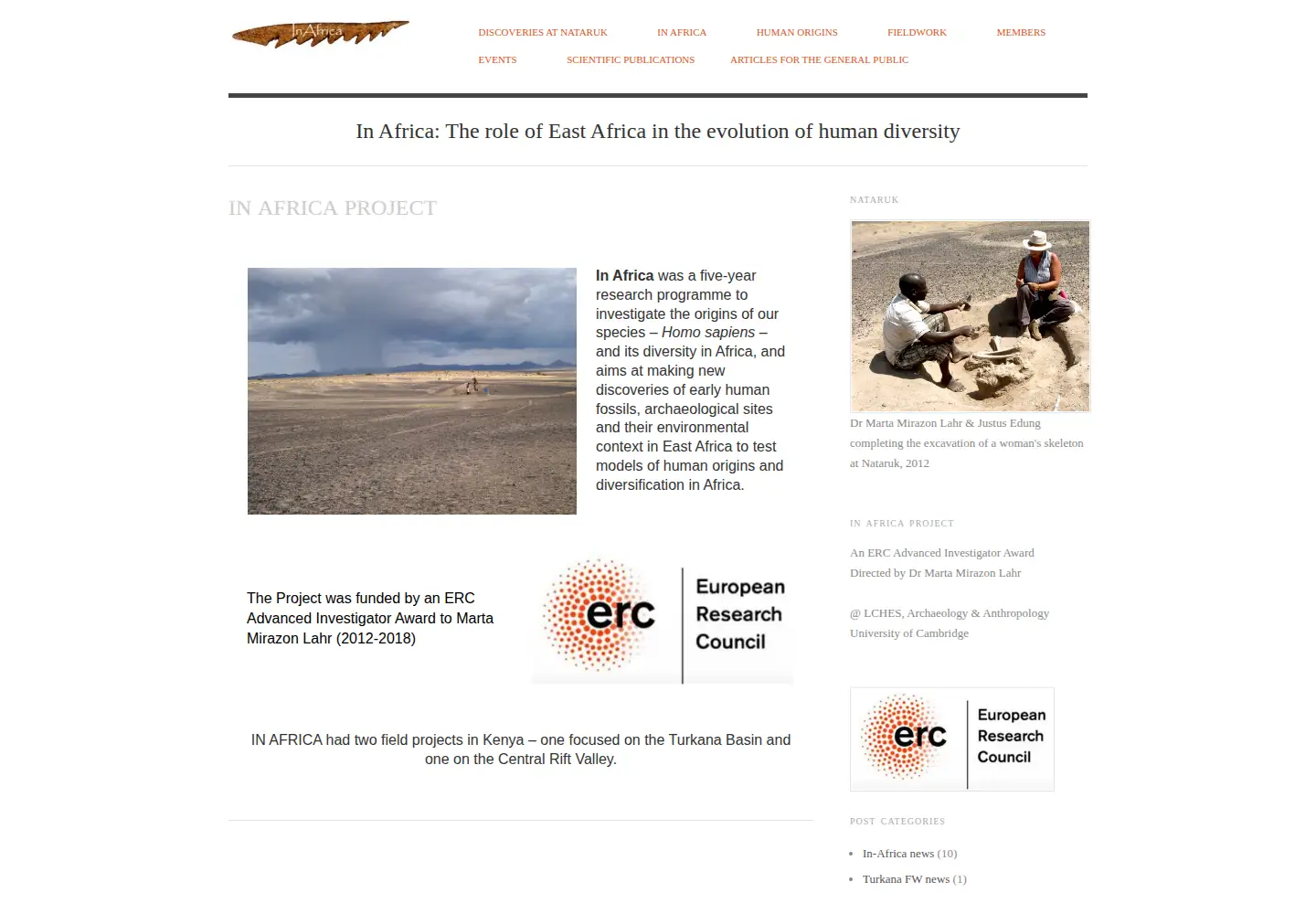 Screenshot of in-africa.org