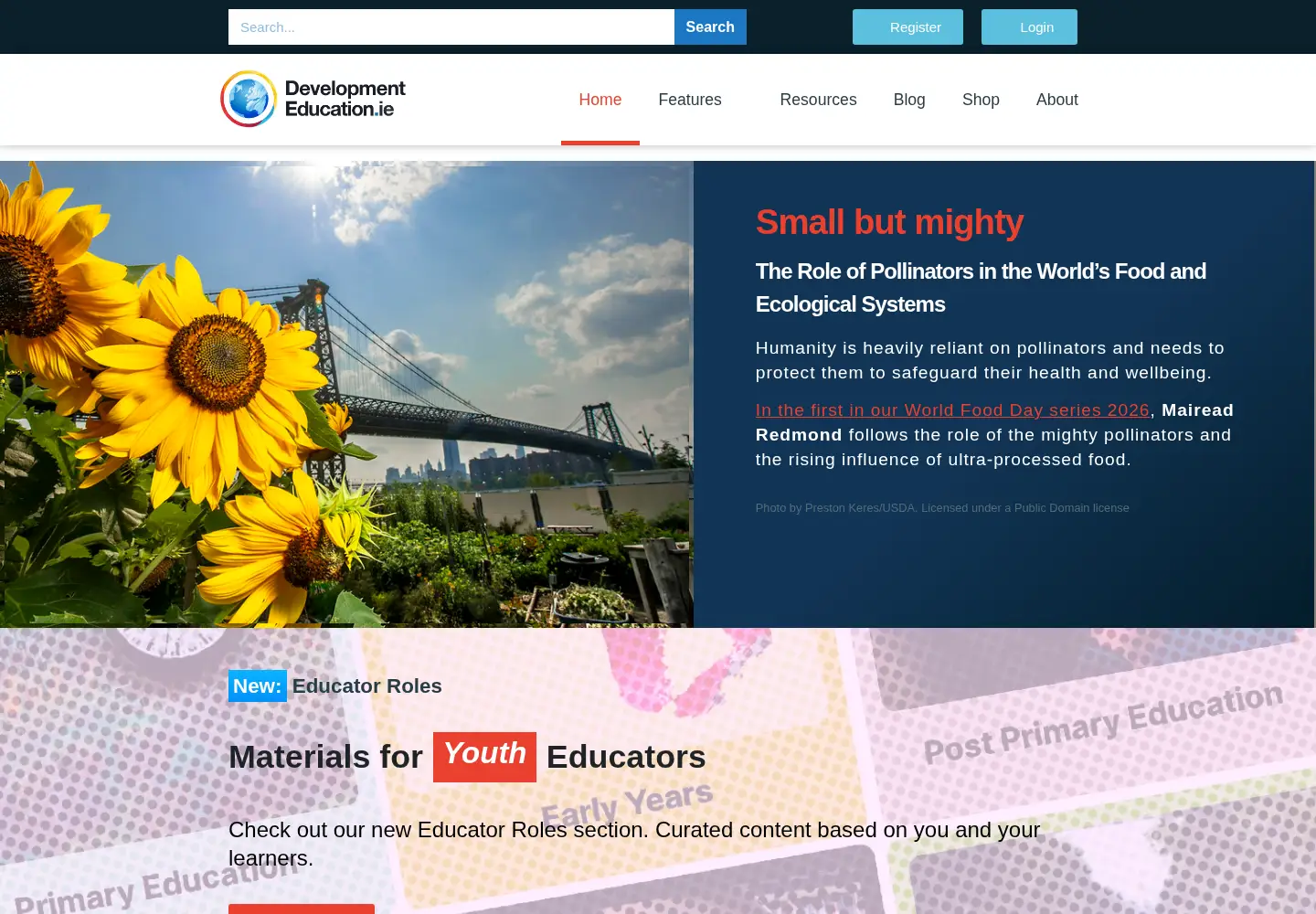 Screenshot of developmenteducation.ie