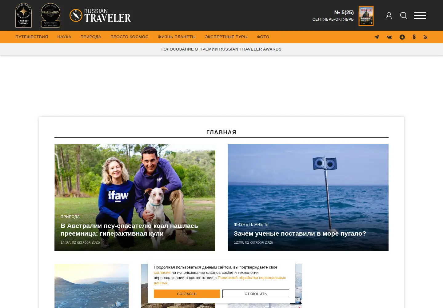 Screenshot of rtraveler.ru