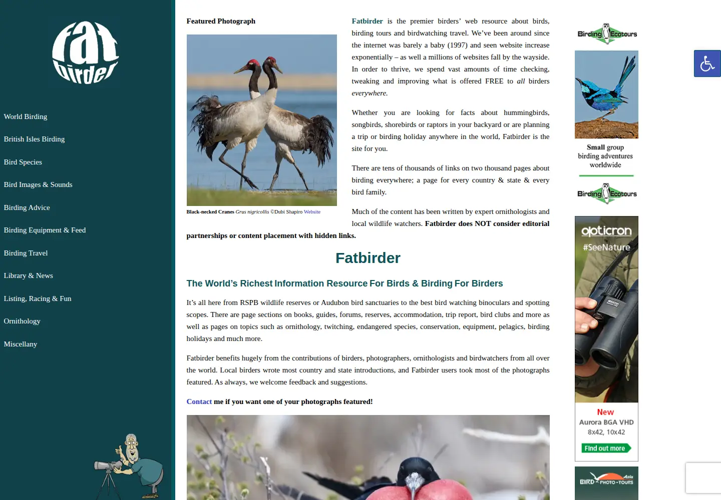 Screenshot of fatbirder.com