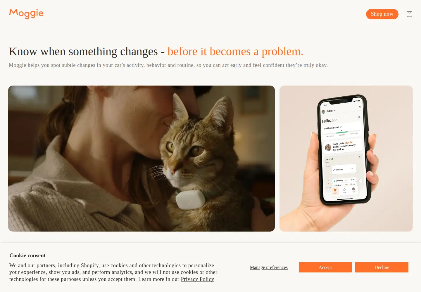 Screenshot of moggie.me