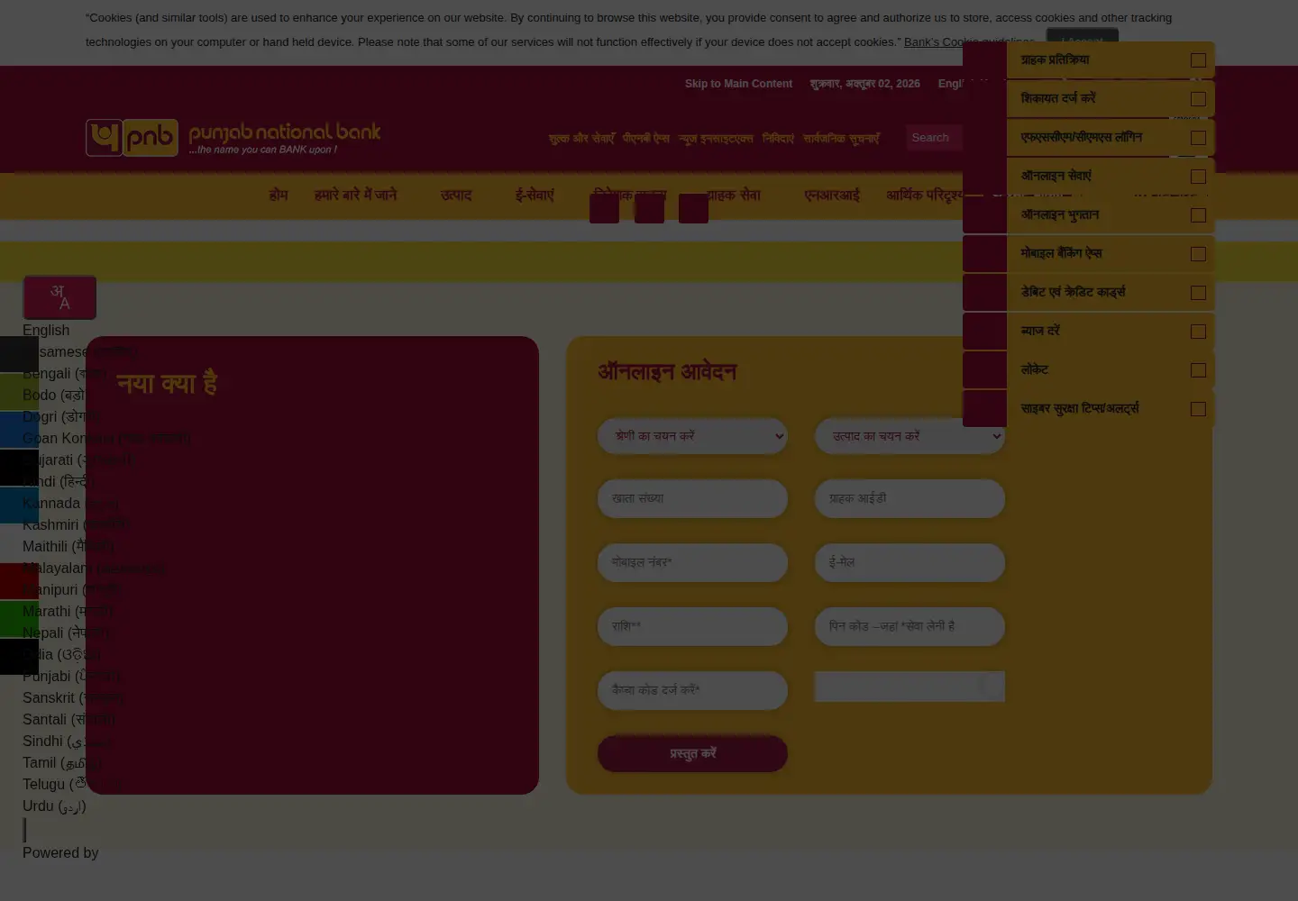 Screenshot of pnbindia.in