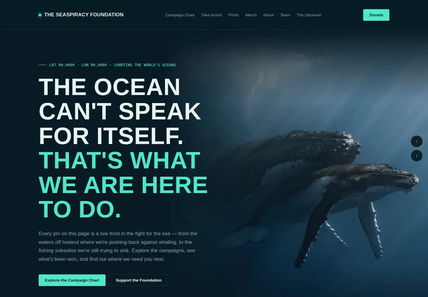 Screenshot of seaspiracy.org