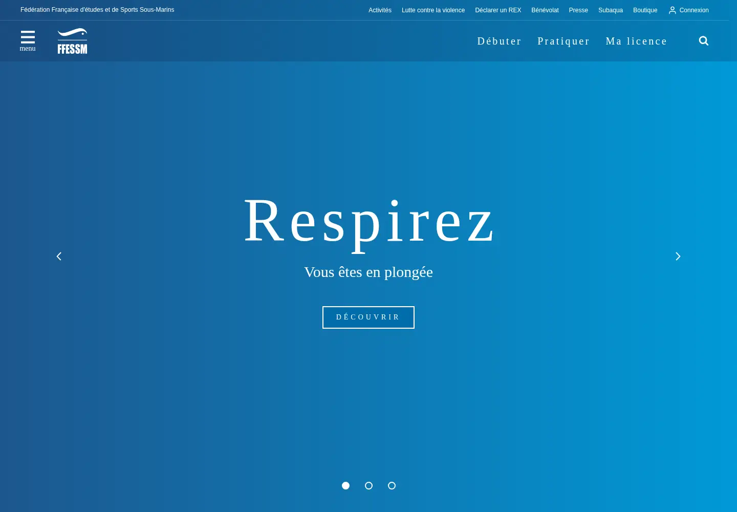 Captured homepage of ffessm.fr in the current scan