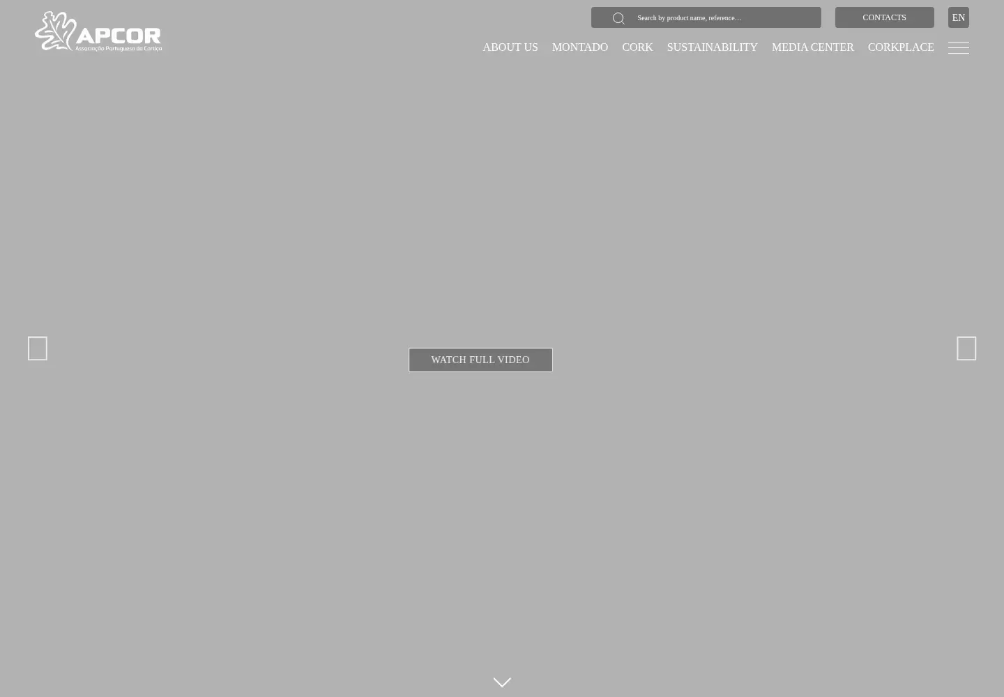 Screenshot of apcor.pt