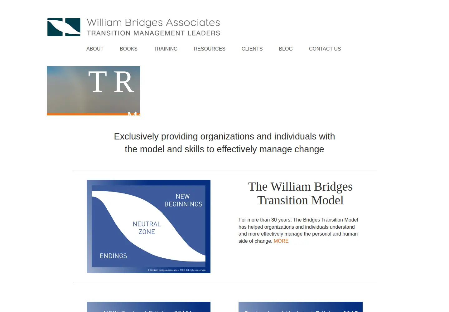 Screenshot of wmbridges.com