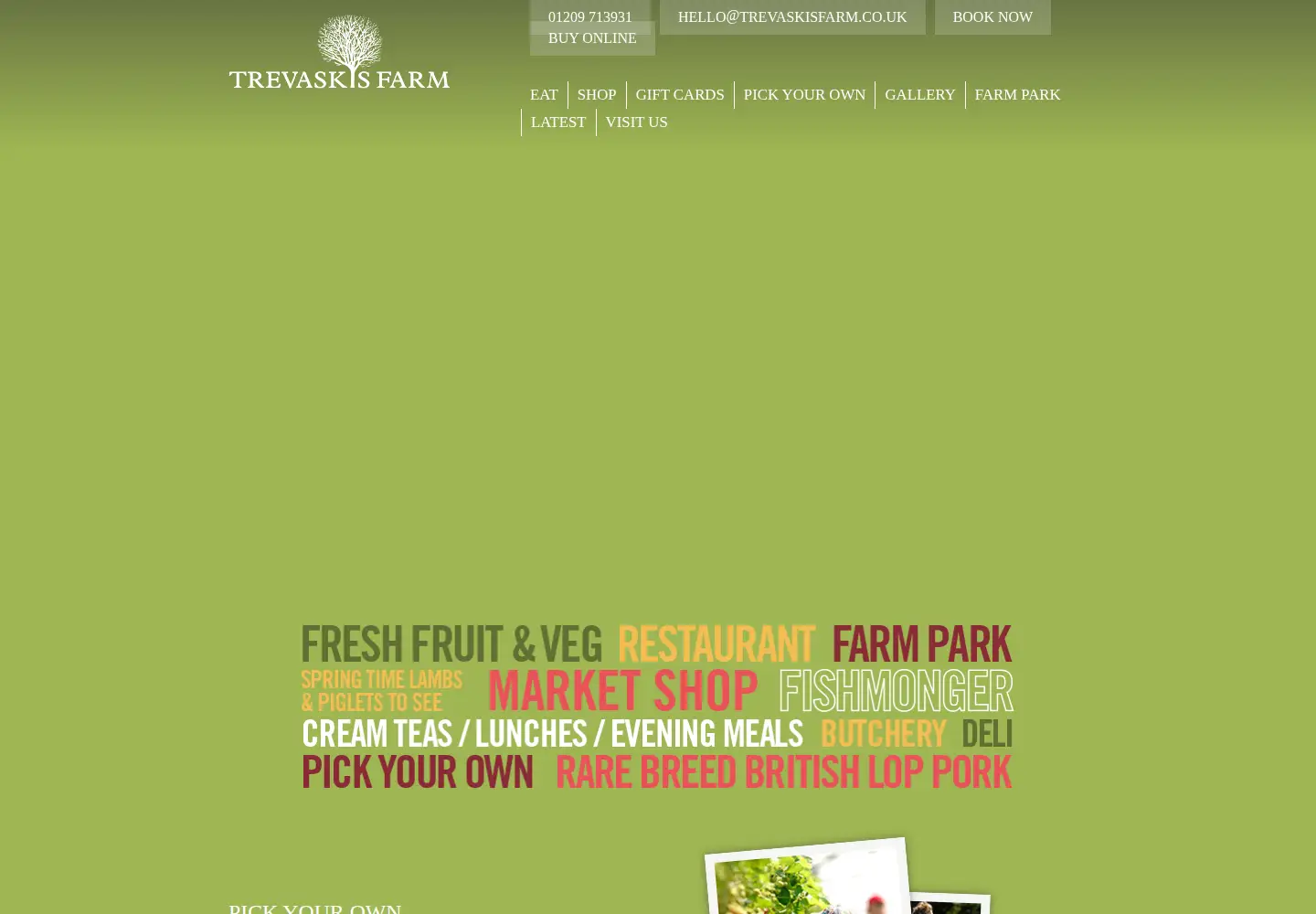 Screenshot of trevaskisfarm.co.uk