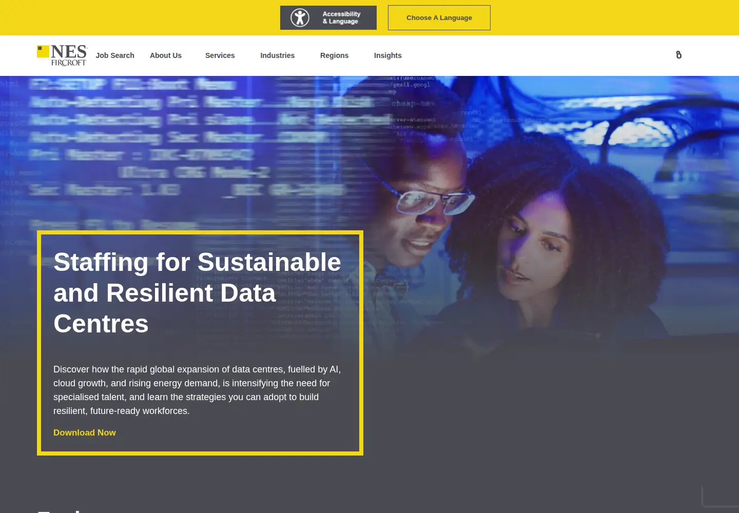 Screenshot of nesfircroft.com