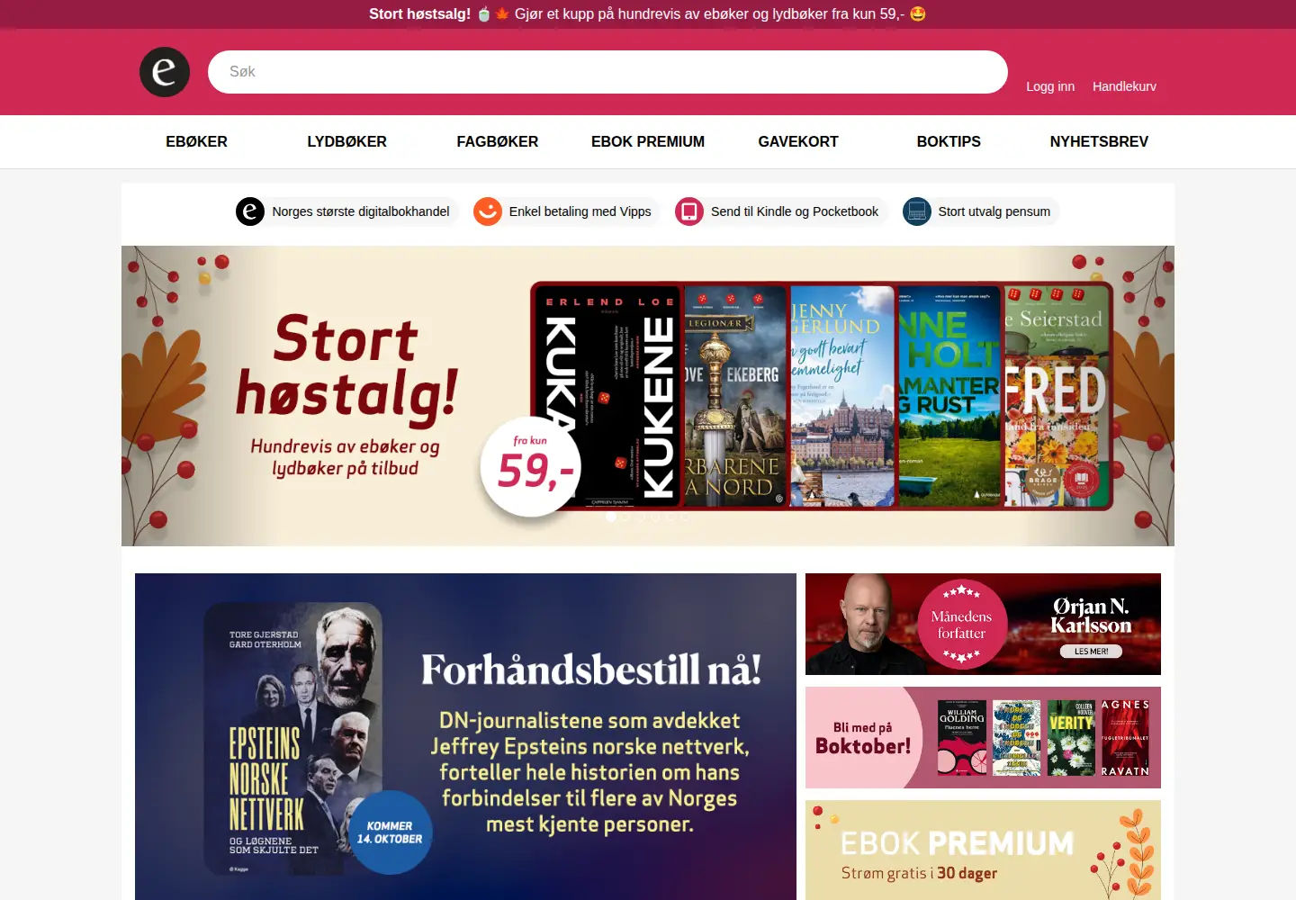 Screenshot of ebok.no