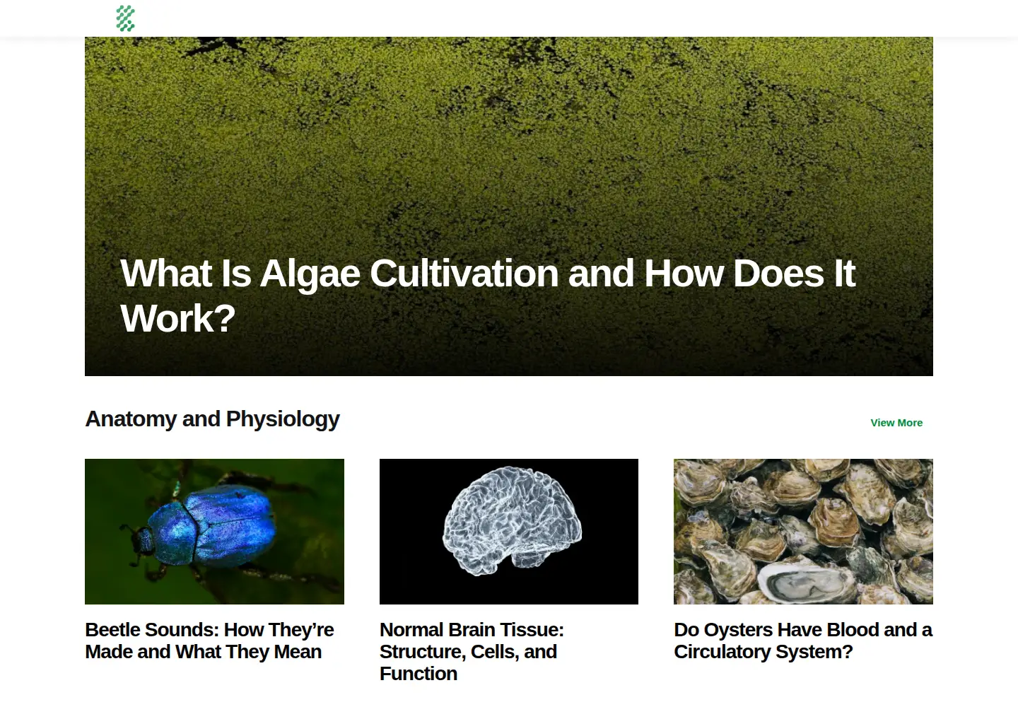 Screenshot of biologyinsights.com