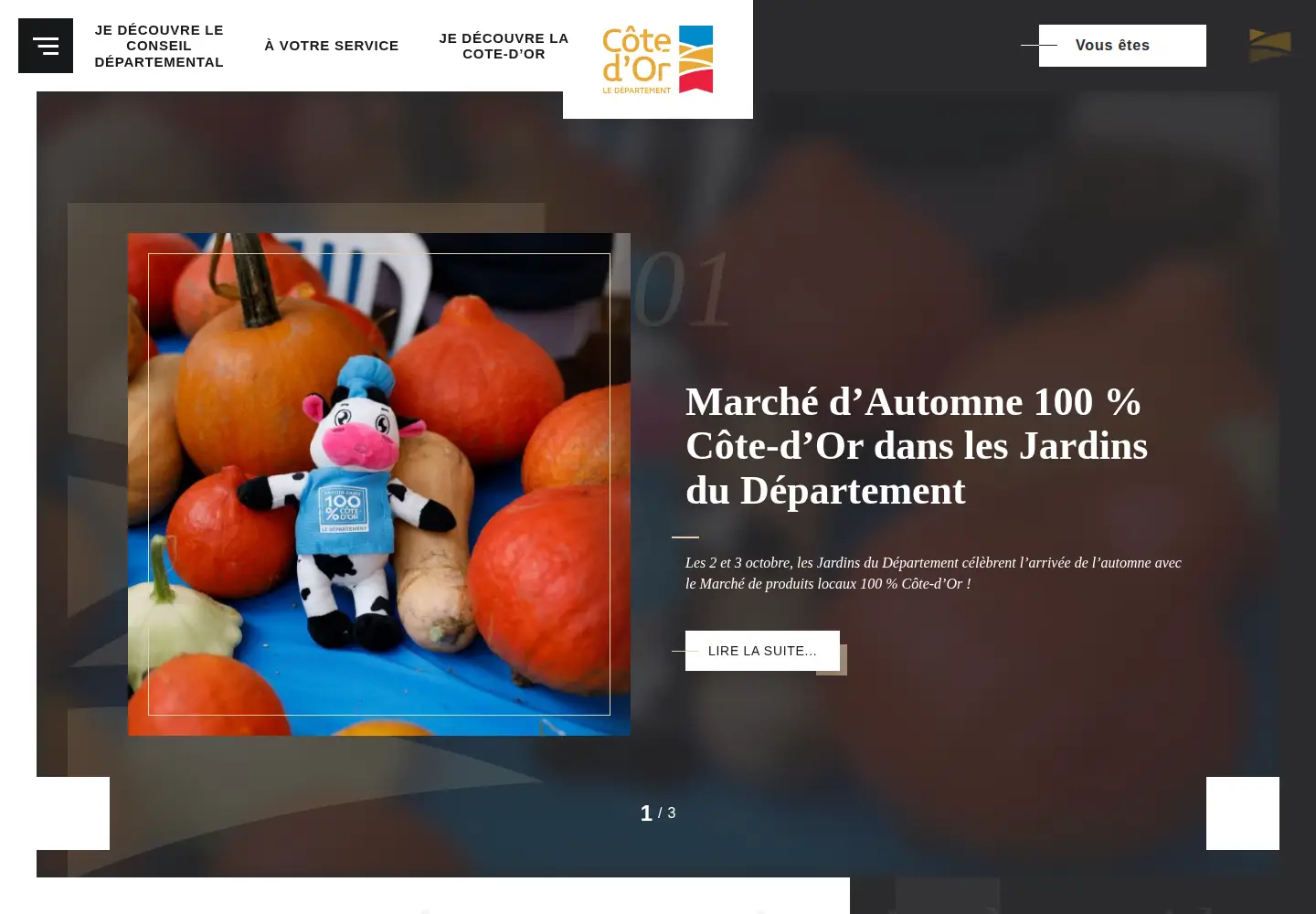 Screenshot of cotedor.fr