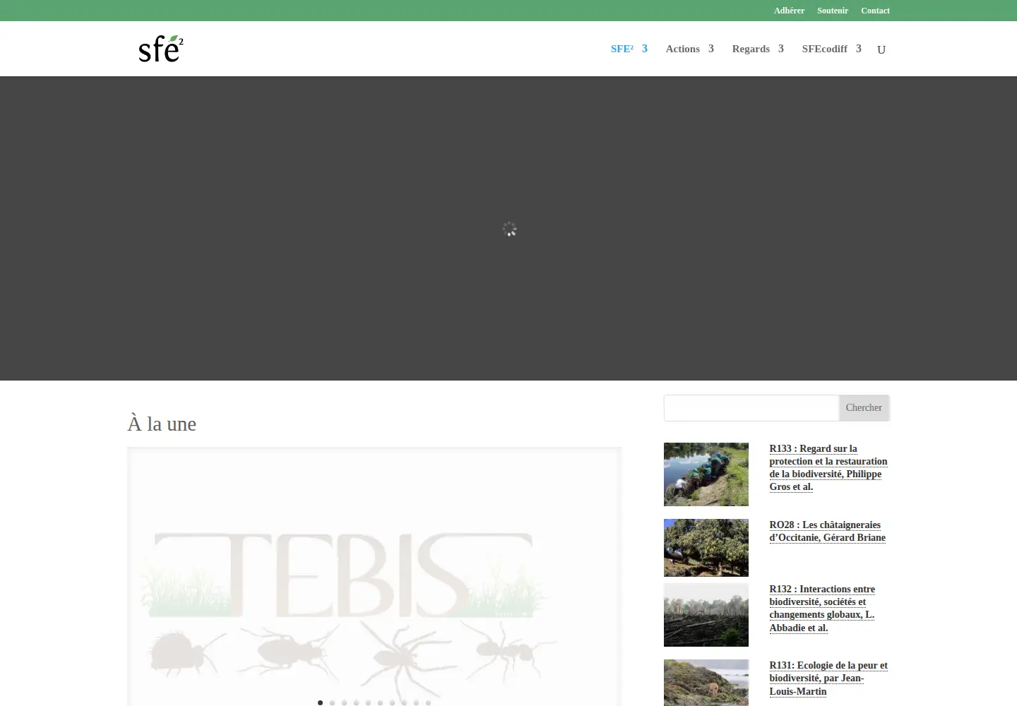 Screenshot of sfecologie.org