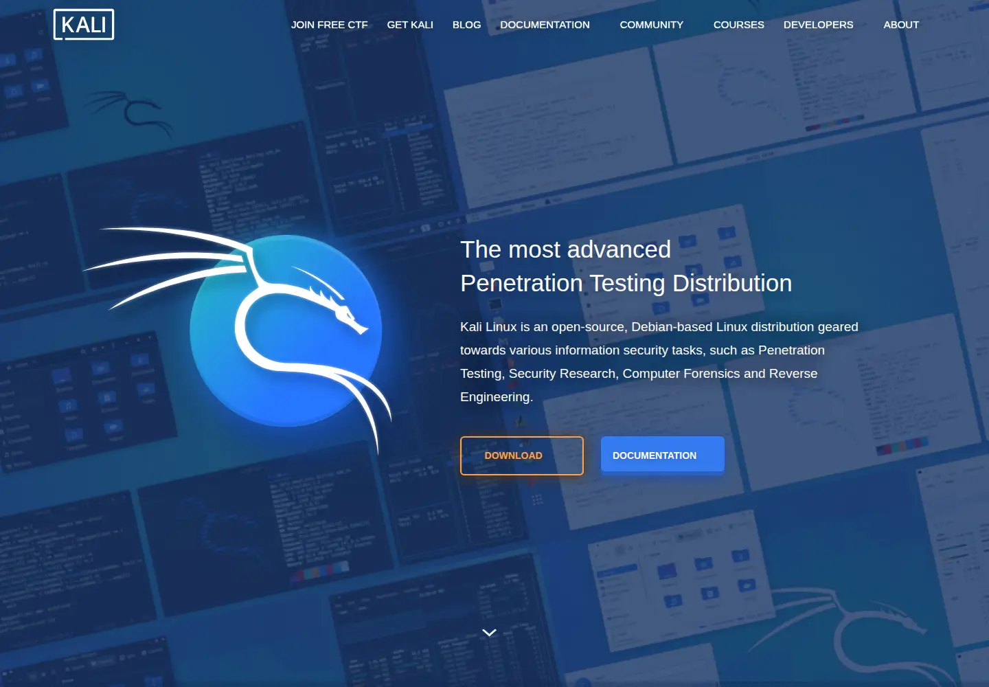 Screenshot of kali.org