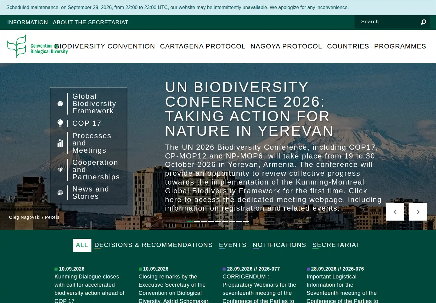 Screenshot of cbd.int