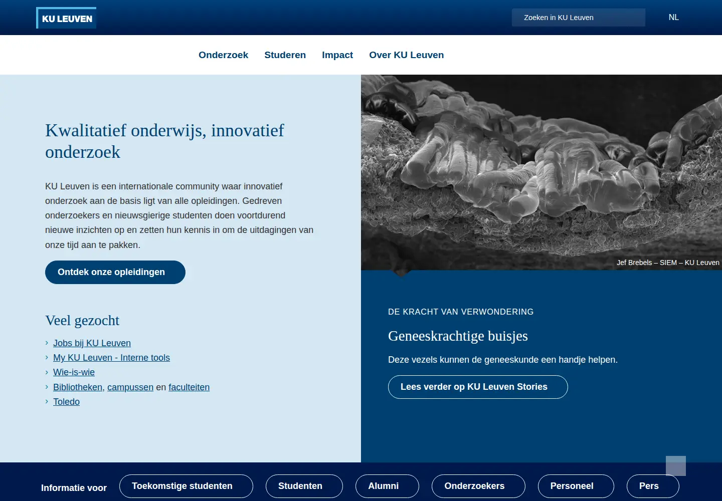 Screenshot of kuleuven.be