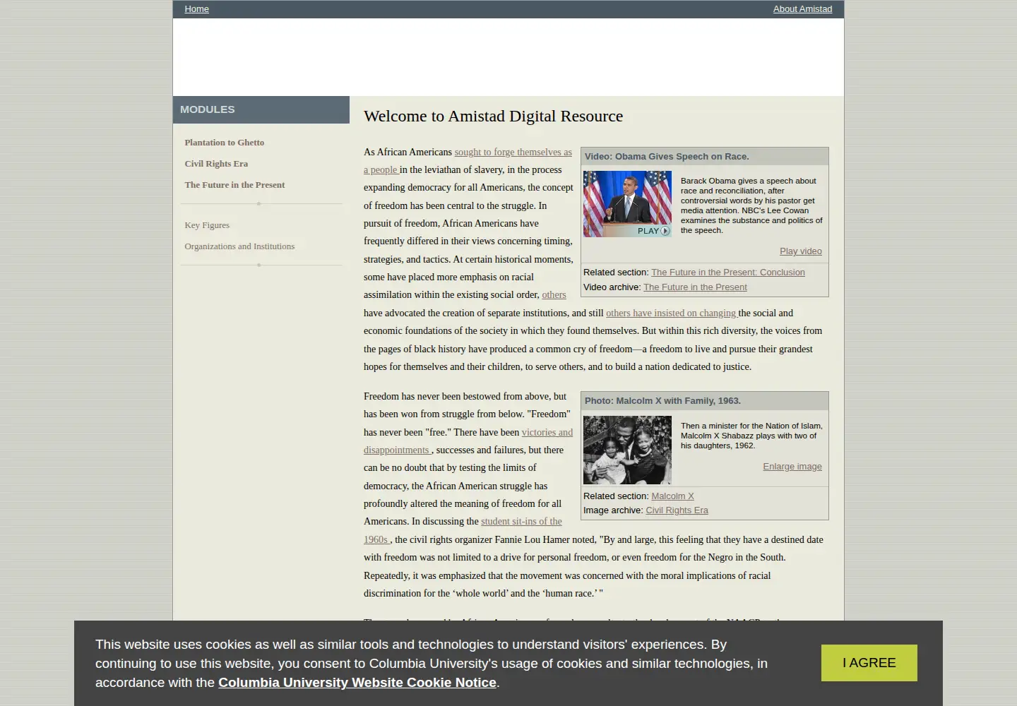 Screenshot of amistadresource.org