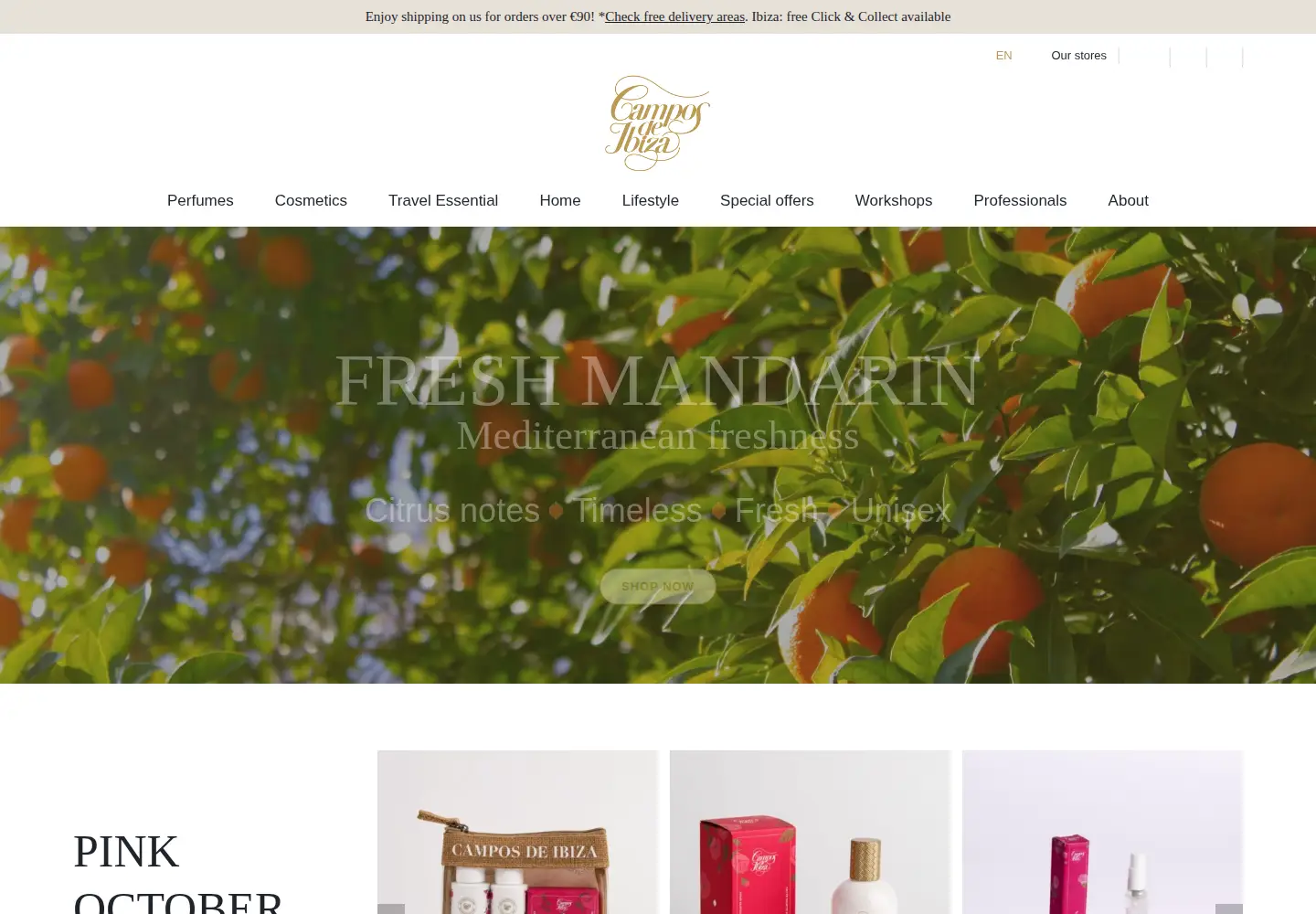 Captured homepage of camposdeibiza.com in the current scan