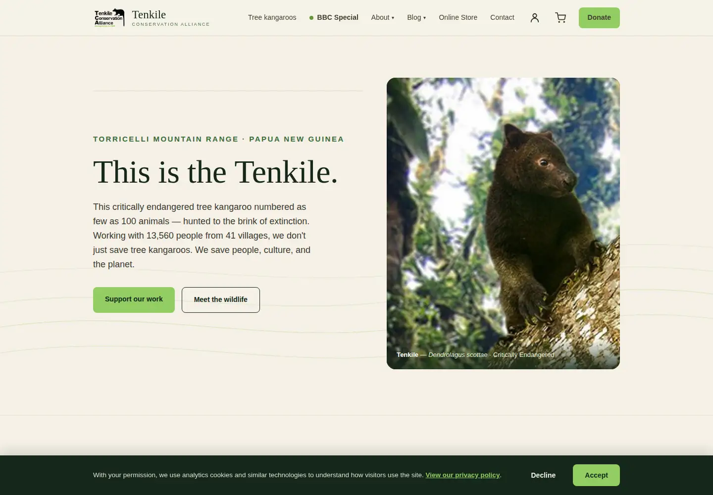 Captured homepage of tenkile.com in the current scan